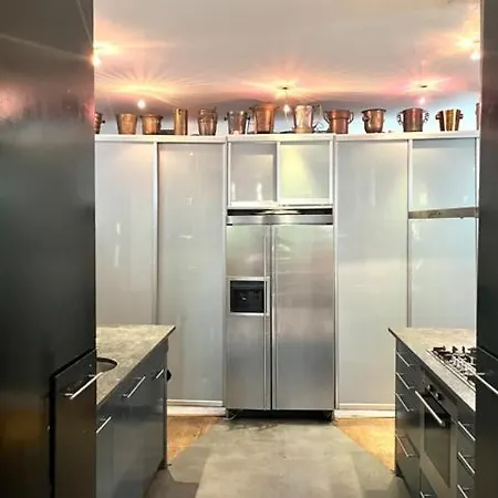 Elegant Penthouse Loft Of 250 M2 In Centre With Huge Roofgarden 80 M2