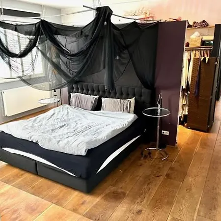 公寓 Elegant Penthouse Loft Of 250 M2 In Centre With Huge Roofgarden 80 M2