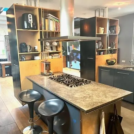 Elegant Penthouse Loft Of 250 M2 In Centre With Huge Roofgarden 80 M2 *