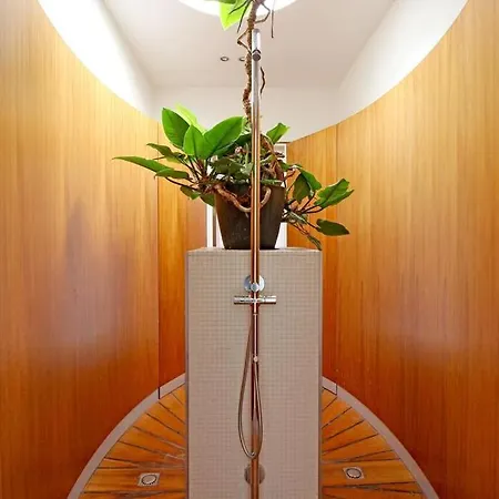 Elegant Penthouse Loft Of 250 M2 In Centre With Huge Roofgarden 80 M2 *