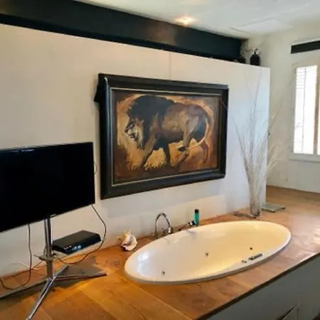 Elegant Penthouse Loft Of 250 M2 In Centre With Huge Roofgarden 80 M2 Daire Amsterdam