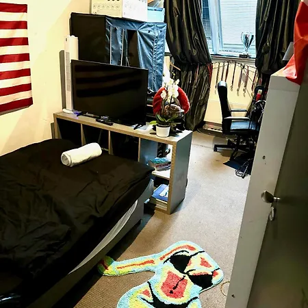 Elegant Penthouse Loft Of 250 M2 In Centre With Huge Roofgarden 80 M2 *