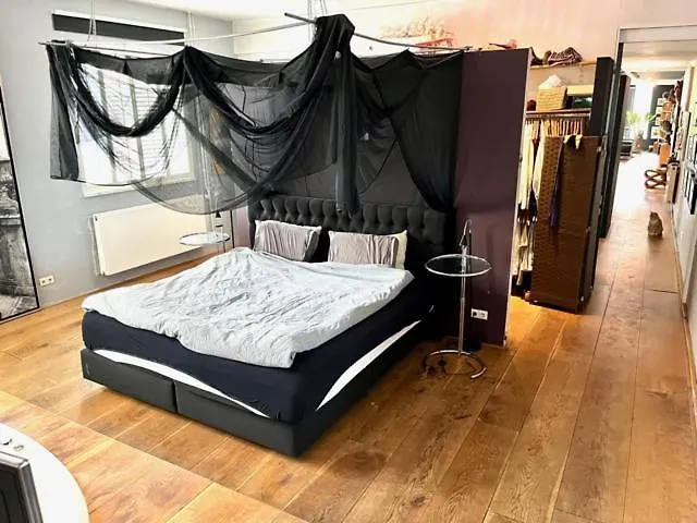 公寓 Elegant Penthouse Loft Of 250 M2 In Centre With Huge Roofgarden 80 M2