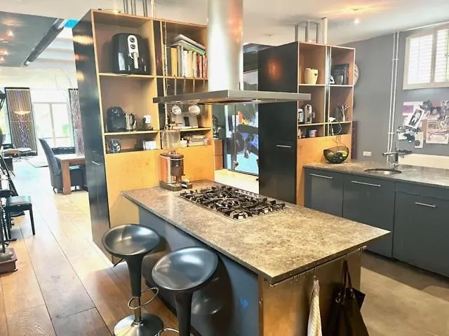 Elegant Penthouse Loft Of 250 M2 In Centre With Huge Roofgarden 80 M2 *