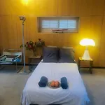Elegant Penthouse Loft Of 250 M2 In Centre With Huge Roofgarden 80 M2