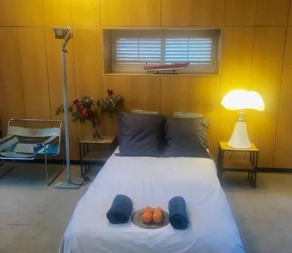 Elegant Penthouse Loft Of 250 M2 In Centre With Huge Roofgarden 80 M2