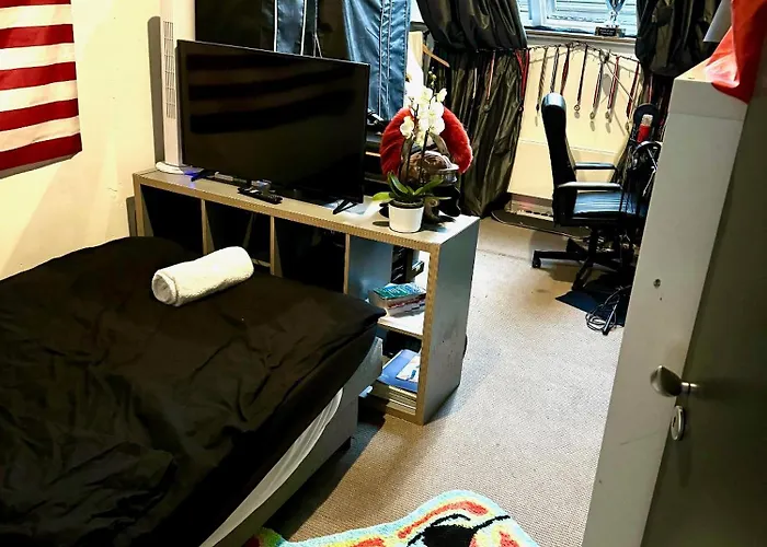 Elegant Penthouse Loft Of 250 M2 In Centre With Huge Roofgarden 80 M2 *